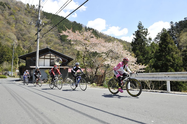 桜も見たいけど、登りがきつい!