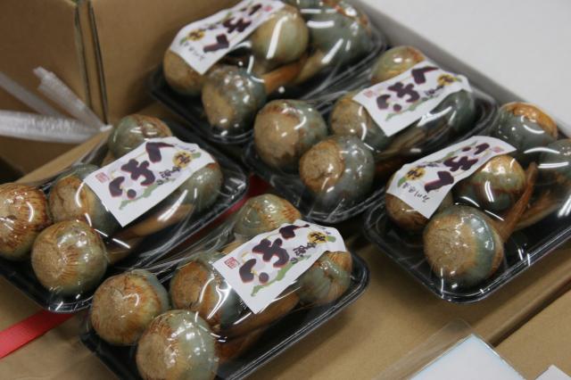 イオングループに並んだ「加賀野菜・くわい」のパッケージ