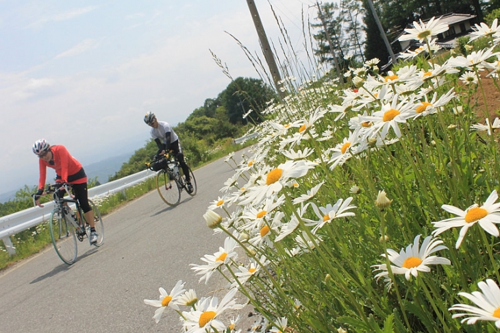 沿道には多くの花が咲いていたけれど、見る余裕はなかったかも?