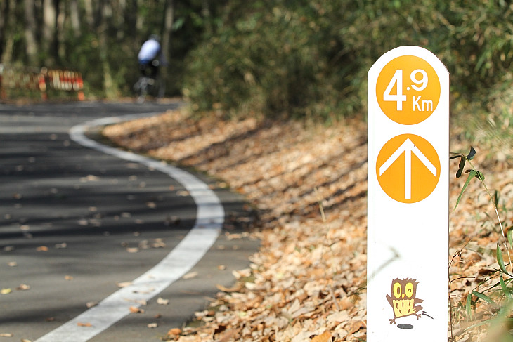 国営武蔵丘陵森林公園の自転車専用コース