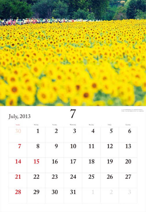 7月 ひまわり