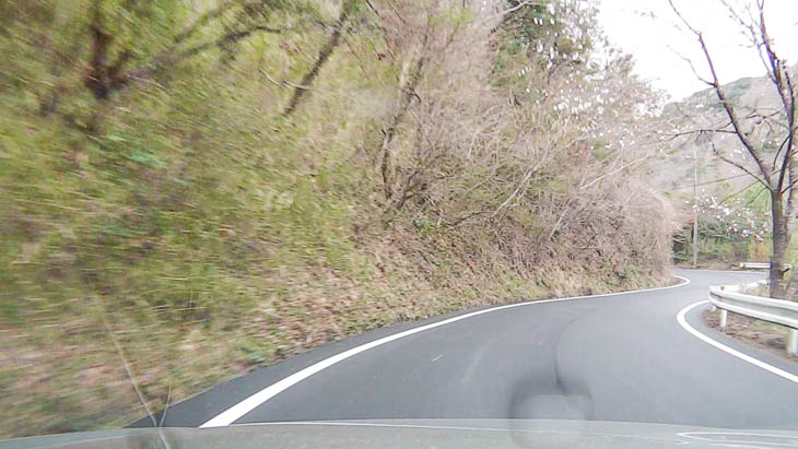 8km地点下り区間(順路は画面奥から手前へ)