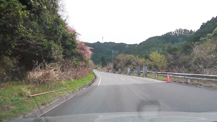 11km地点急勾配の上り区間(順路は画面奥から手前へ)