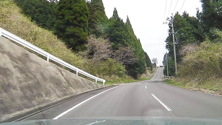 12km地点短い下り区間(順路は画面奥から手前へ)