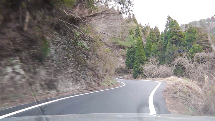 4.5km地点下り区間(順路は画面奥から手前へ)