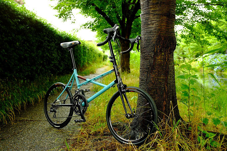 B_ant Ventru 451 Steel(Sorairo/CP)