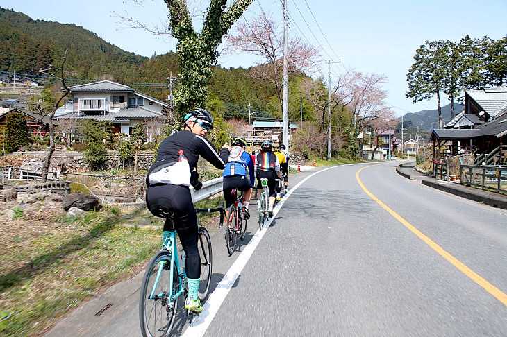 長閑な田舎道が続きます。サイクリングはこうでなくっちゃ!
