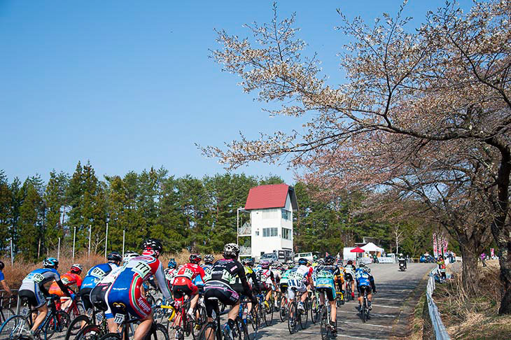 E3 群馬CSCは桜が満開