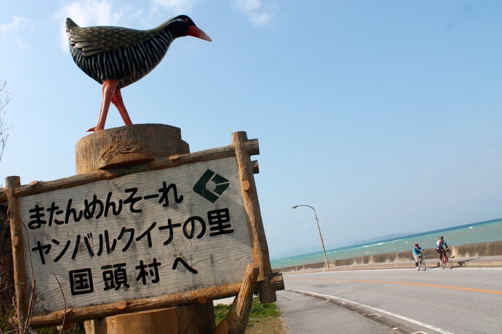 運が良ければヤンバルクイナに会えるかも