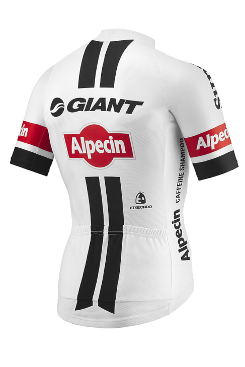 ジャイアント 2016 GIANT-ALPECIN SPECIAL EDITION TEAM SS JERSEY(背面)