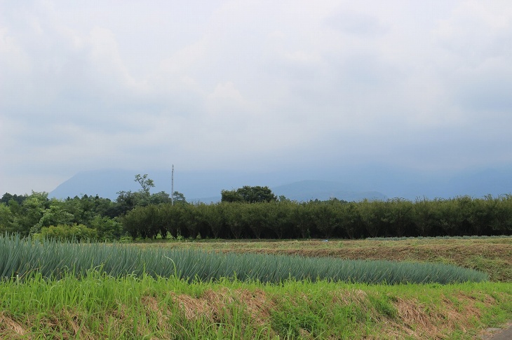 群馬と言えばネギ!?この日は曇りでしたが、ネギ畑と赤城山がきれいです