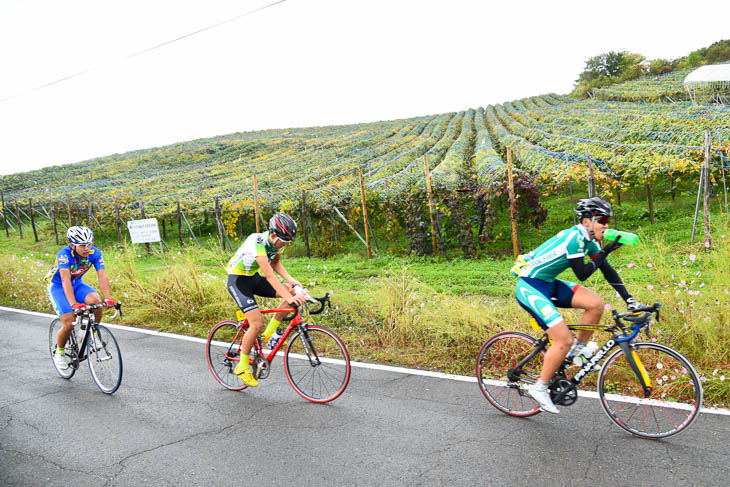 コースの沿道にはぶどうやりんご畑
