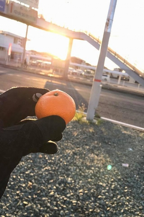 しまこから賜ったみかんを補給して今治までのナイトラン!