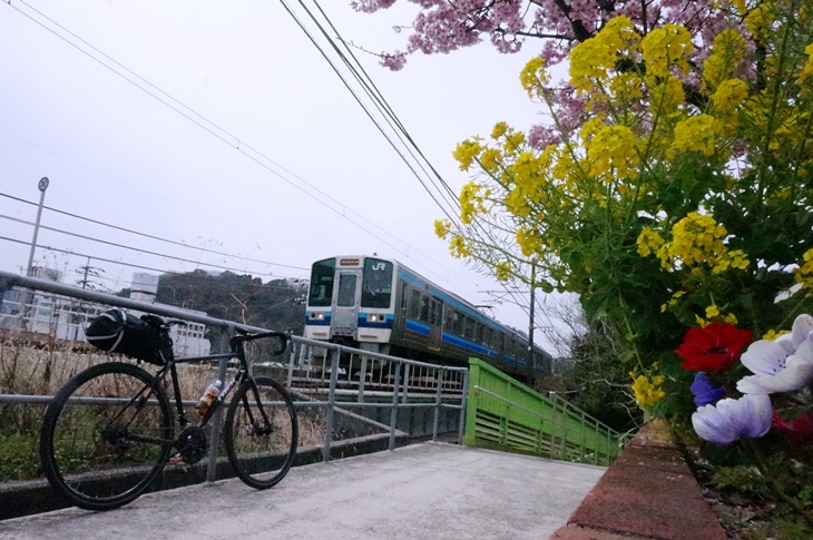 やれ出発かと言う時に、やってきたのはこれまた珍しい213系電車だった