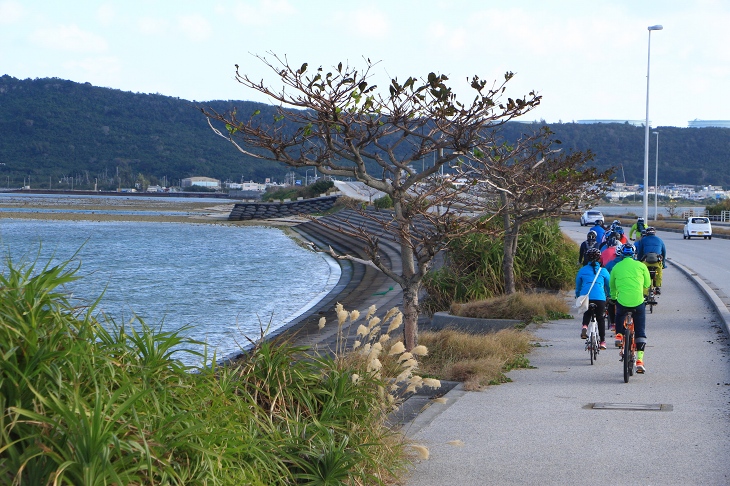 すぐそこまで海が迫る 昔は干潮時に歩いて渡れたのだとか