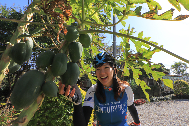 パパイヤの実を見つけた平野由香里さん「食べれるかな〜?」