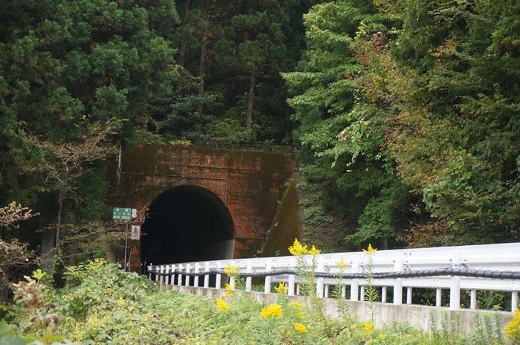 所々でBRTのバス専用道として再利用されているJR気仙沼線の軌道跡。トンネル形状から一目でもと鉄道用だと分かります!