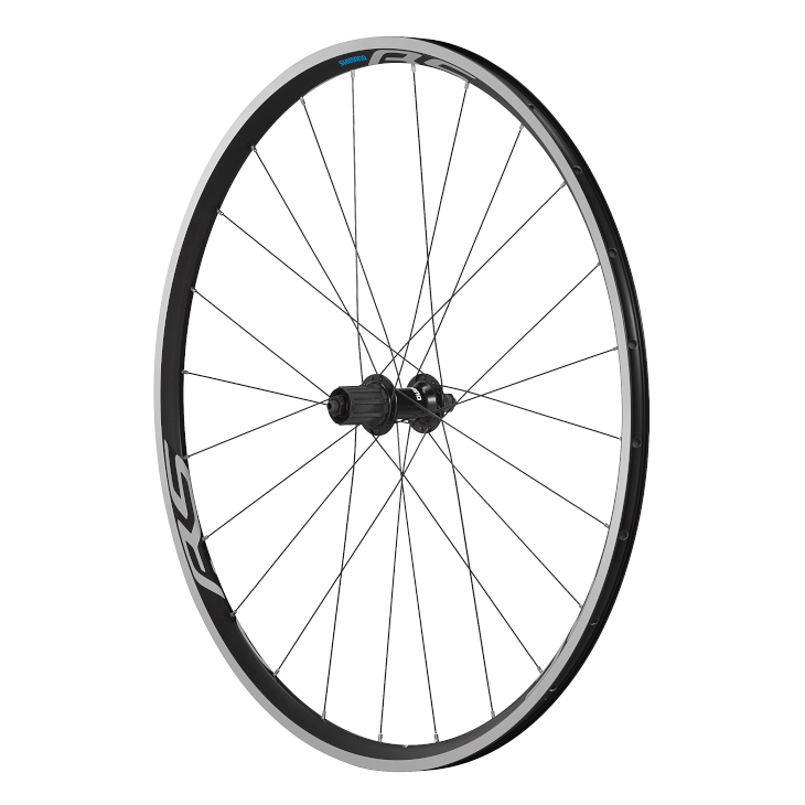 WH-RS100