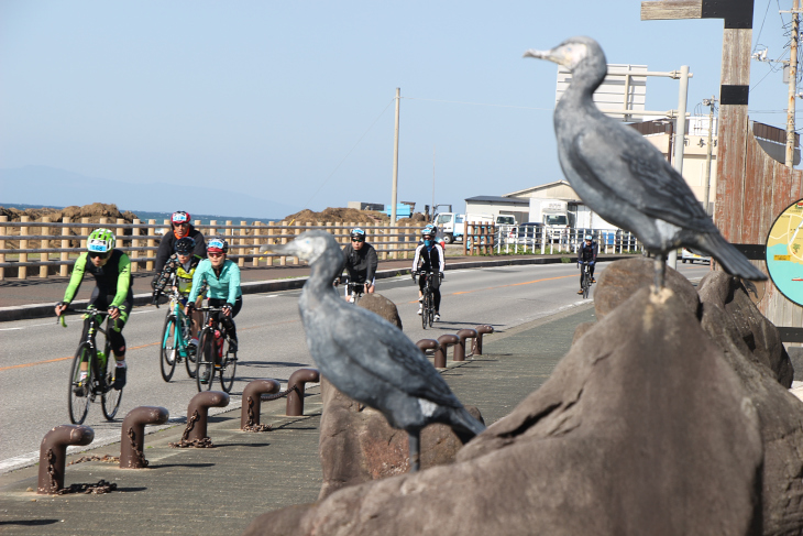 本物の鳥が沢山止まってる!と思ったら石像でした…