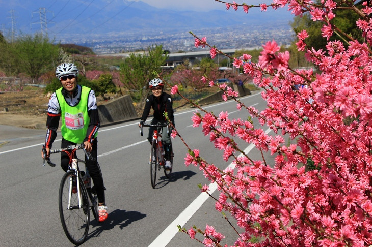 鮮やかな桃の花が次々に現れる 桃と桜のサイクリング2019
