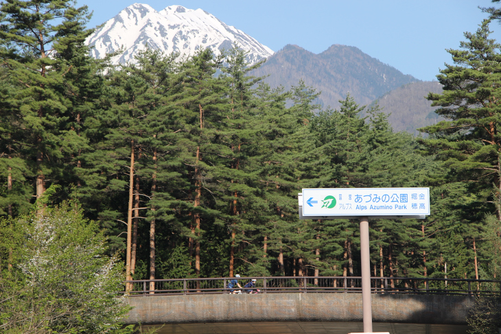 第1エイドの国営アルプスあづみの公園(堀金・穂高)越しに顔を覗かせる冠雪の山が美しい