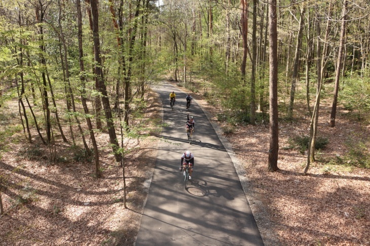木々の間をすり抜けていく国営アルプスあづみの公園(大町・松川地区)の敷地内