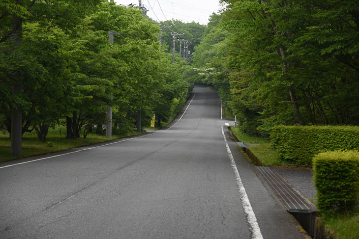 15km付近 ふじあざみラインまではゆるやかな登り基調