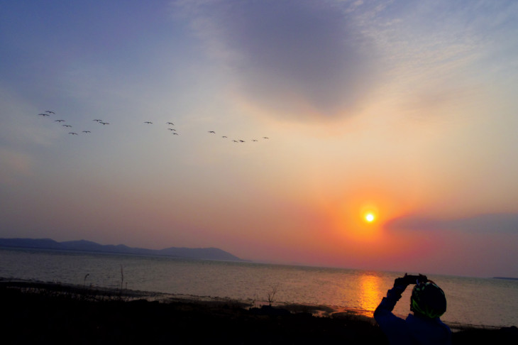 野生の白鳥の群れが飛び立った!思わず時間を忘れてしまう空間。サロマ湖にて。