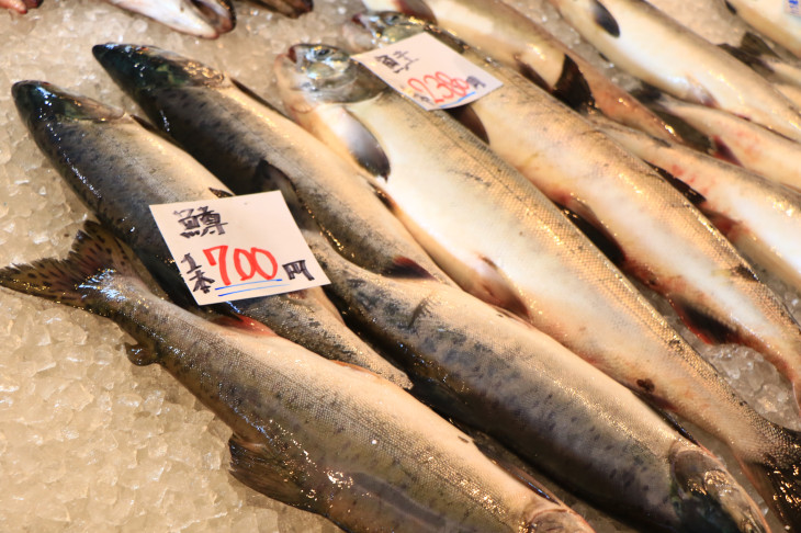こんなおっきな鱒が一本700円なんですよ信じられます?