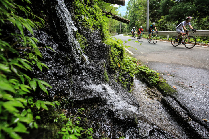 湧き水が豊富なのもこの一帯の特徴 山向こうの西条市は有数の湧水地帯だ