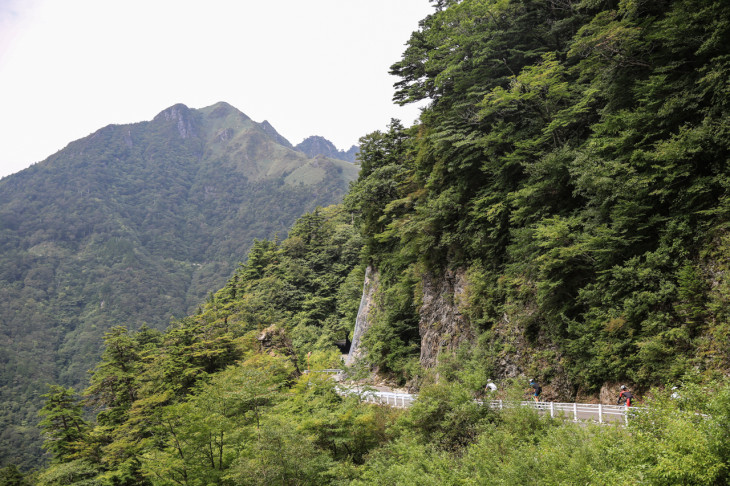 山肌を削ったような瓶ヶ森線 落石なども多いので注意