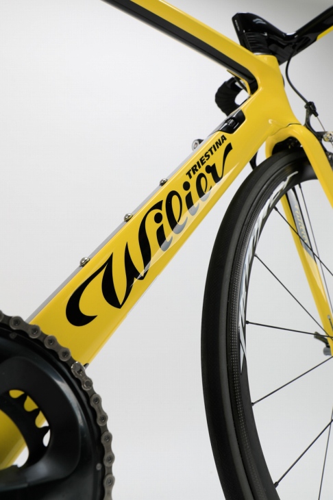 カムテールデザインを採用するダウンチューブ