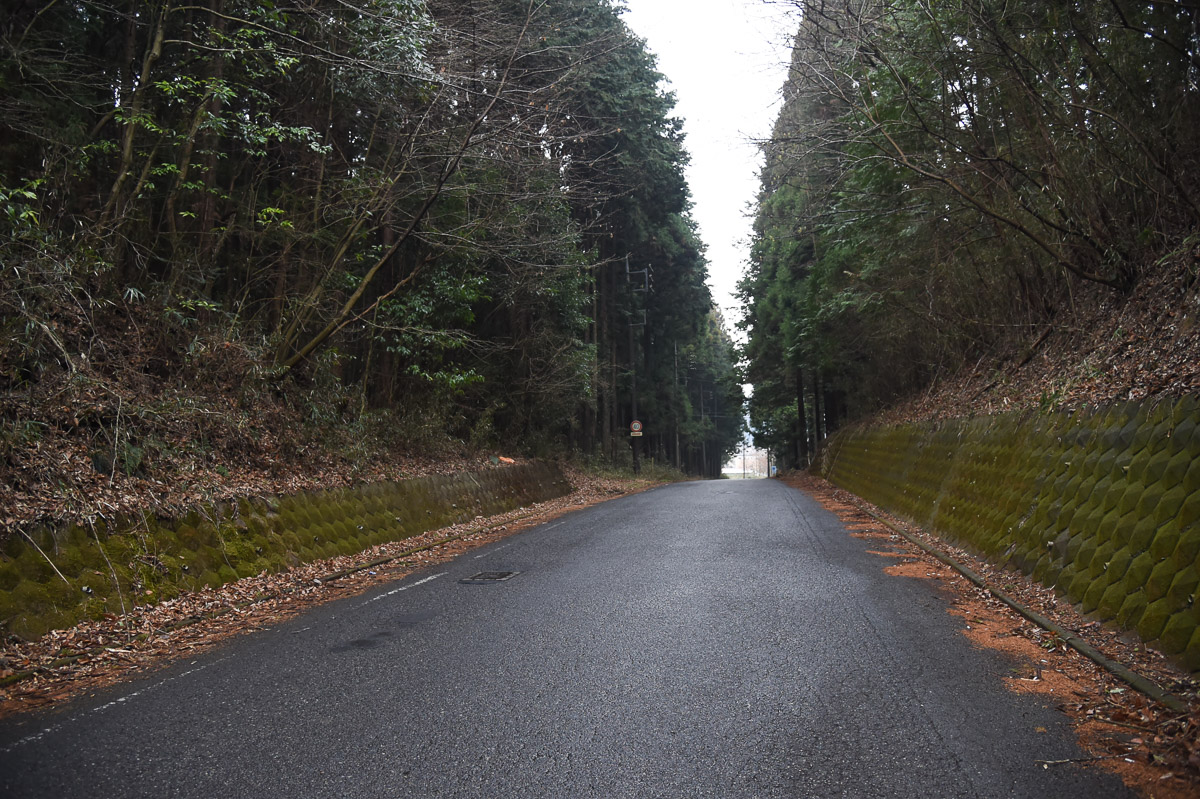 第2ステージ コース前半は切り通しのような道が続く