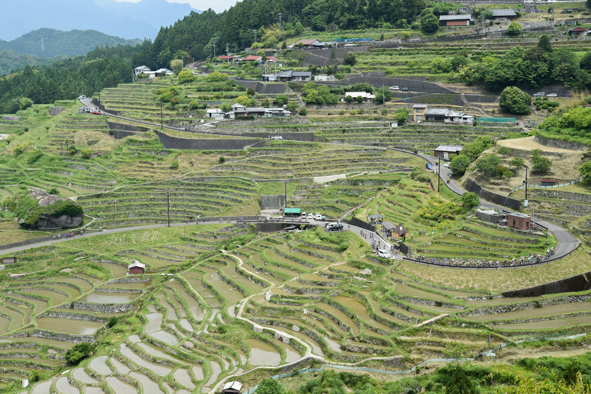 熊野第2ステージ 田植えが終わった千枚田を集団が登っていく