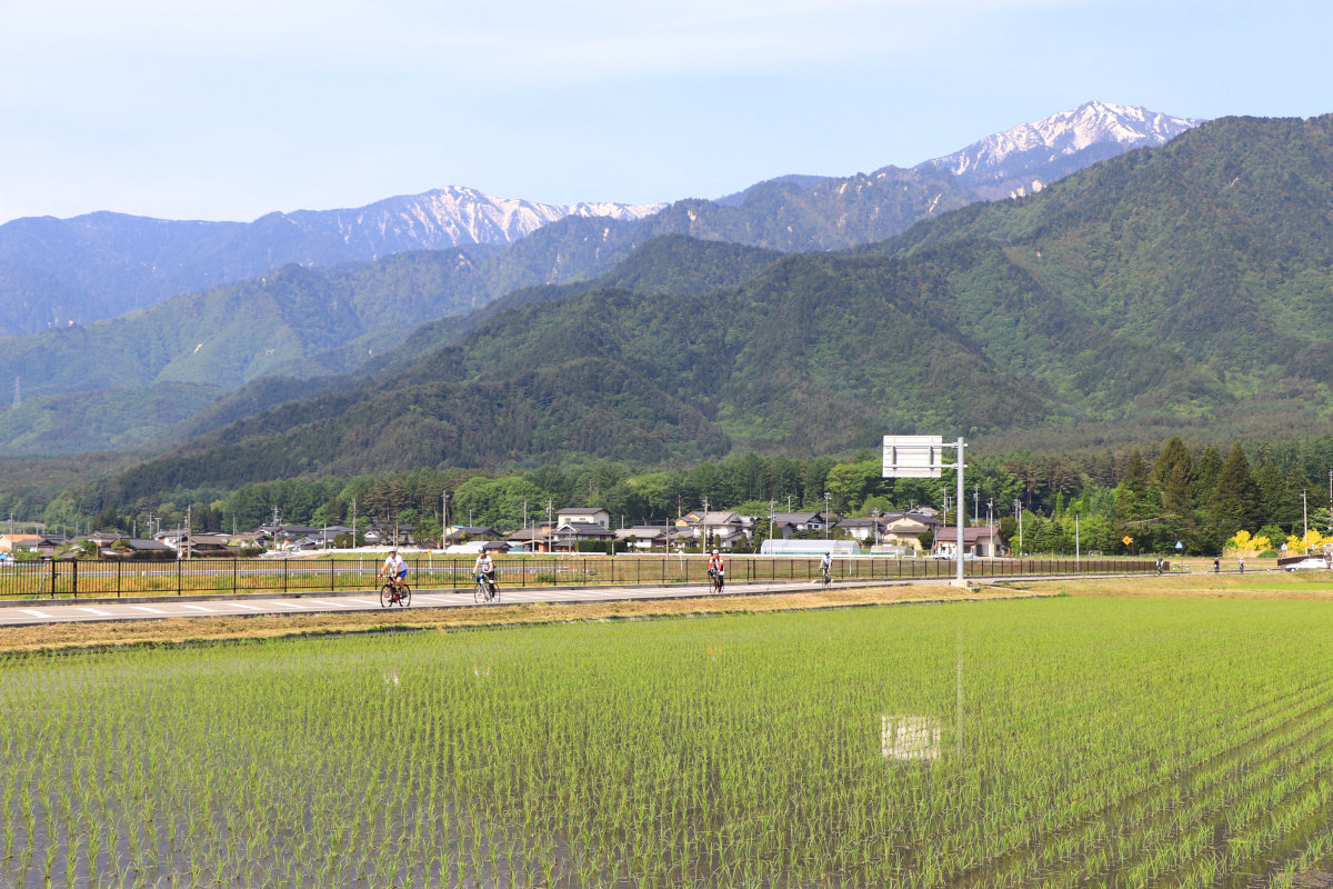 長野の雄大な景色を堪能した緑のアルプスあづみのセンチュリーライド