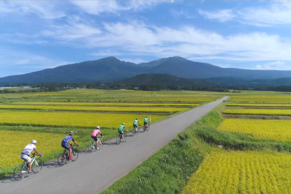 黄金色の田園風景の中をいく じろで庄内2019