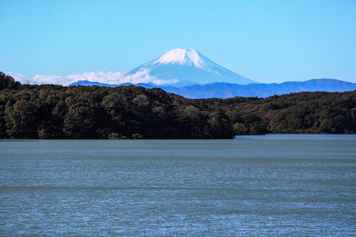 遠くに富士山を望むこともできる狭山湖 なんだか銭湯の壁画ぽくもある