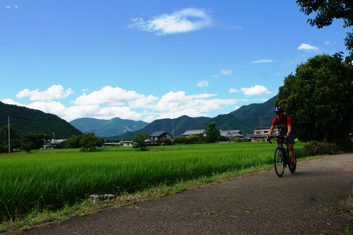 廃線敷はよく整備されたサイクリングロードになっているので、テツじゃない方でも気持ち良く走れるコースです!