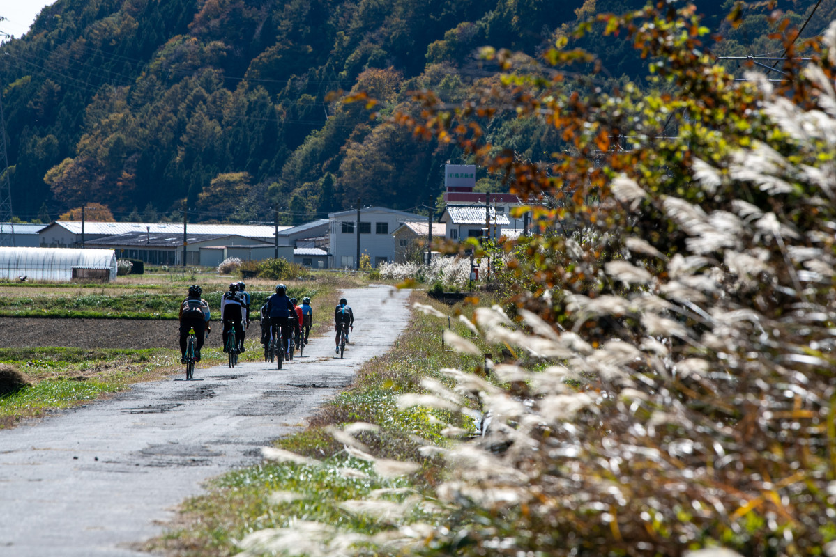 ススキがたなびく田舎道 風情たっぷりである