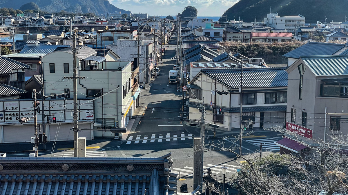 海に向かって開けた美波(旧日和佐)の町並み