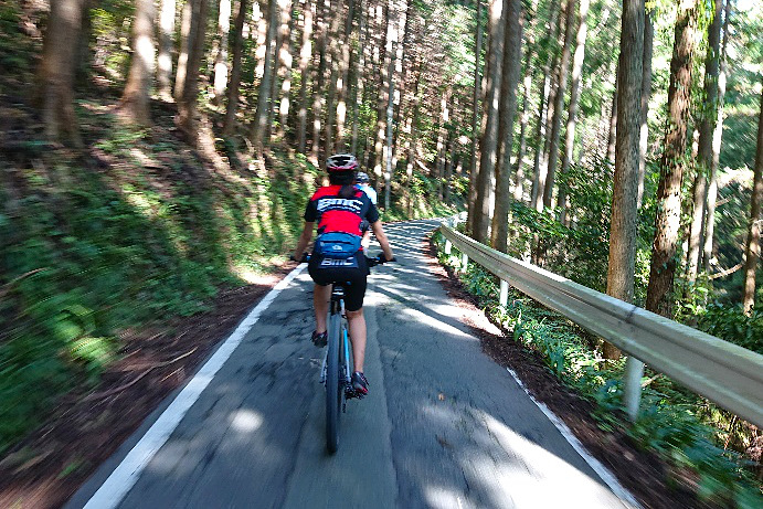 静かな林道をサイクリング