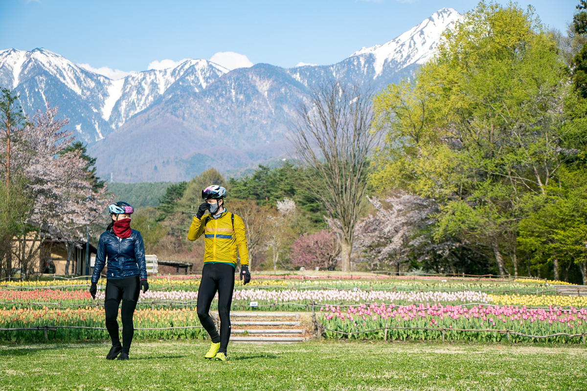穂高エイドにはカラフルなチューリップ畑が待っている 桜だけでない華やかな春先の信州を楽しめる