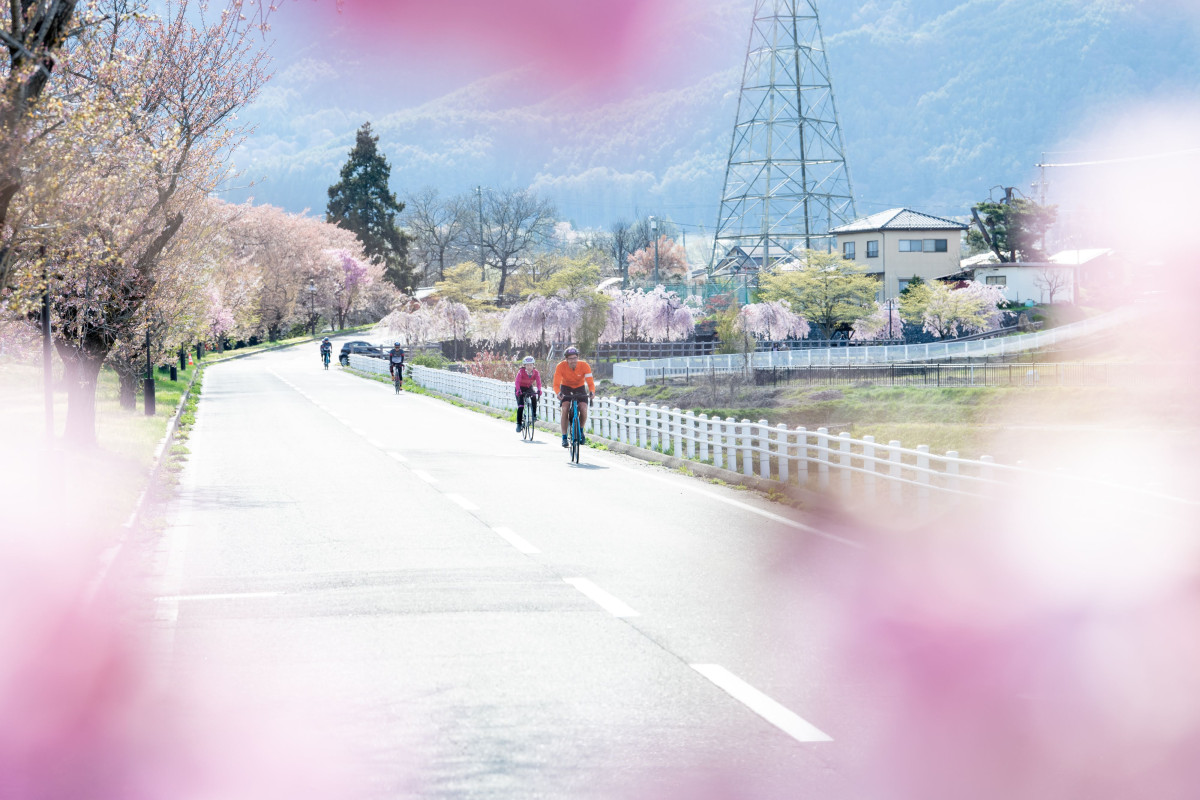 4月。桜咲くなか走る桜のAACR